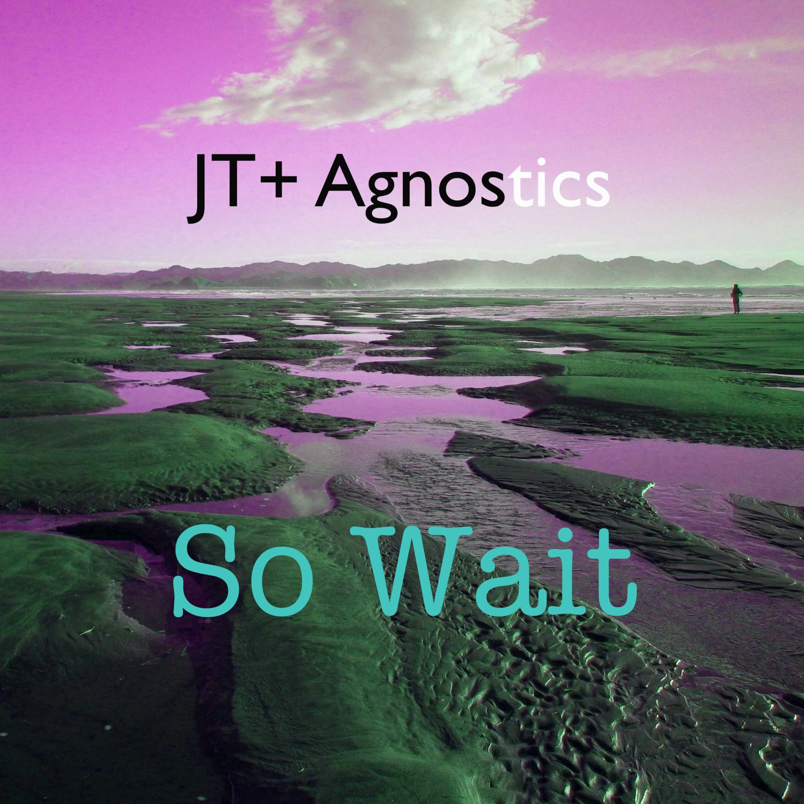 So Wait single cover — JT+Agnostics blues single